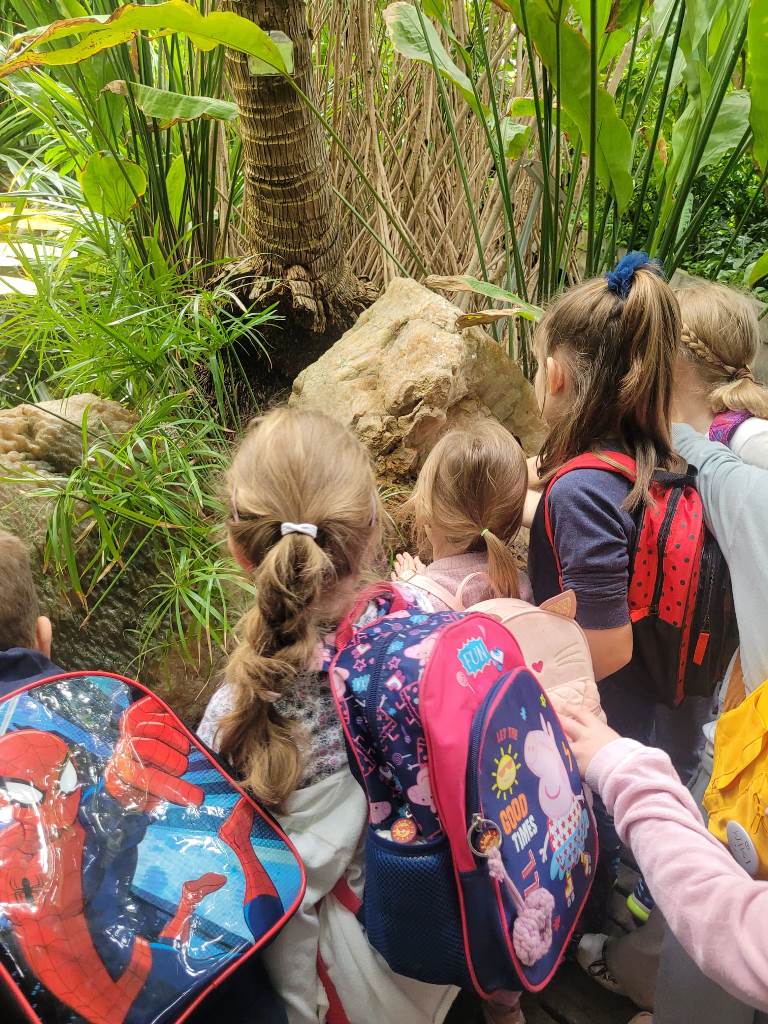 WhatsApp Image 2023-04-21 at 17.10.13.jpeg